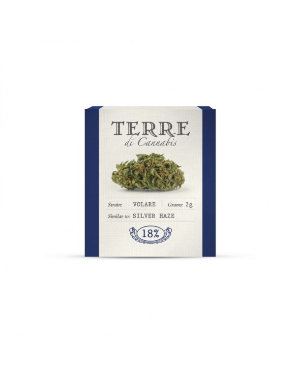 Ανθοί κάνναβης με CBD Terre Di Cannabis ιταλικής προέλευσης με κανναβιδιόλη.
