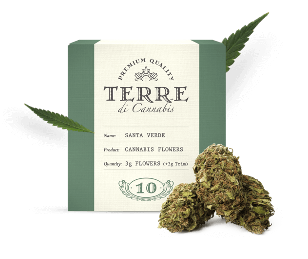 A box of CBD cannabs flowers from the brand Terre Di Cannabis