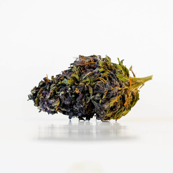 Canna-X Ανθοί Κάνναβης Purple Gelato Premium Series με 30% περιεκτικότητα σε CBD κανναβιδιόλη 2γρ. κοντινή φωτογραφία ανθού.