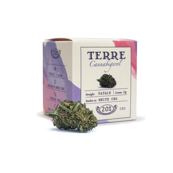 Terre Di Cannabis Fatale CBG - 2gr. - photo of package and bud - 2