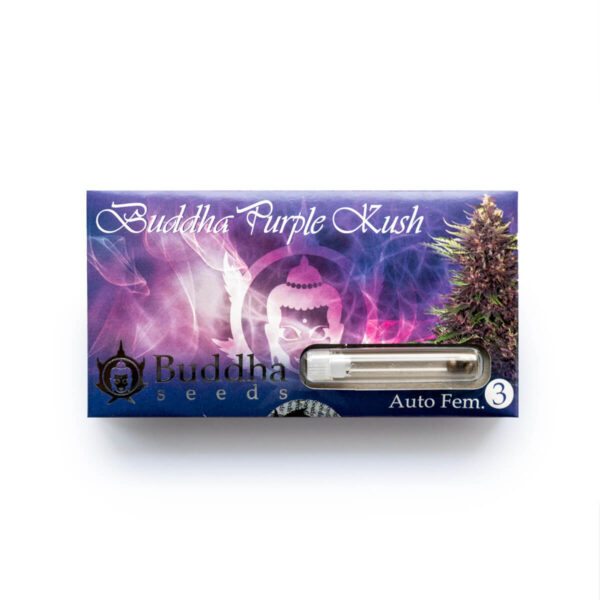 Buddha Seeds | Autoflowering Cannabis Seeds – Purple Kush Auto – 3pcs - packaging photo