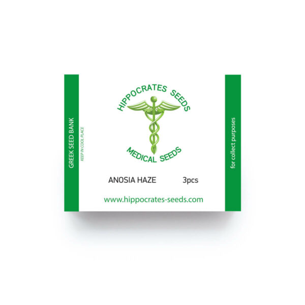 Hippocrates Seeds | Anosia Haze Auto Ελληνικοί σπόροι κάνναβης με THC και CBD αυτόματης ανθοφορίας.