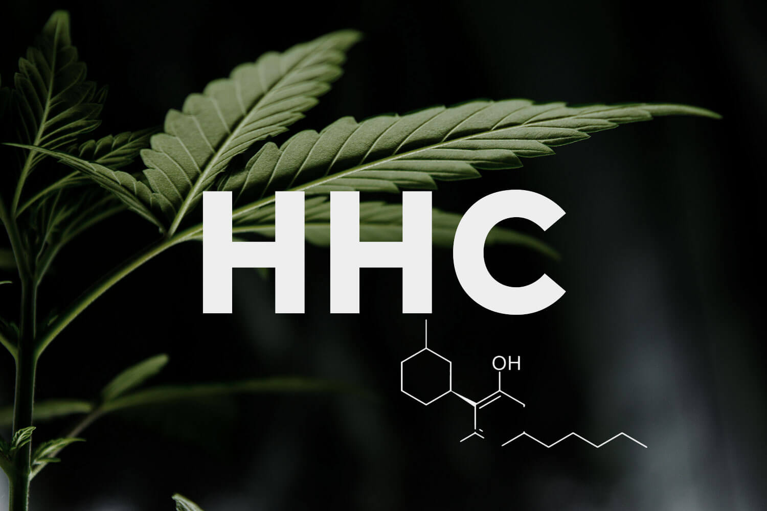 What is HHC (Hexahydrocannabinol)? | Complete Guide | Hempoilshop®