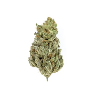 Bud Amnesia Haze Royal Queen Seeds cannabis seeds autoflowering and feminized to buy in Greece and Europe Wholesale and Retail.