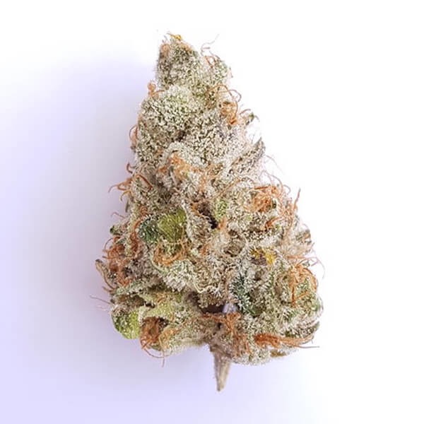 Bud Fat Banana Royal Queen Seeds cannabis seeds autoflowering and feminized to buy in Greece and Europe Wholesale and Retail.