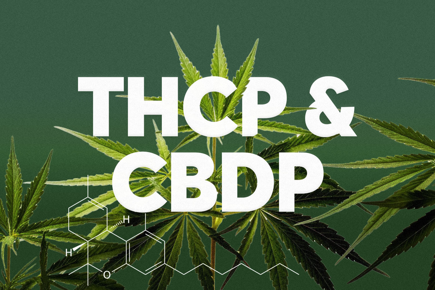 What are THCP and CBDP? Discoveries in Cannabinoid Research